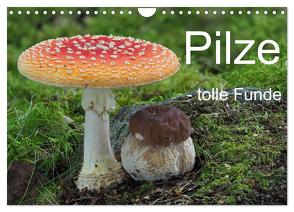 Pilze – tolle Funde (Wandkalender 2024 DIN A4 quer), CALVENDO Monatskalender von Bindig,  Rudolf