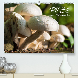 Pilze und Pilzgerichte (Premium, hochwertiger DIN A2 Wandkalender 2021, Kunstdruck in Hochglanz) von Stanzer,  Elisabeth