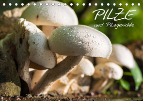 Pilze und Pilzgerichte (Tischkalender 2022 DIN A5 quer) von Stanzer,  Elisabeth