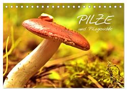 Pilze und Pilzgerichte (Tischkalender 2024 DIN A5 quer), CALVENDO Monatskalender von Stanzer,  Elisabeth