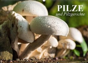Pilze und Pilzgerichte (Wandkalender 2018 DIN A2 quer) von Stanzer,  Elisabeth