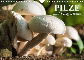 Pilze und Pilzgerichte (Wandkalender 2019 DIN A4 quer) von Stanzer,  Elisabeth