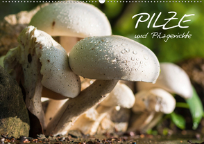 Pilze und Pilzgerichte (Wandkalender 2021 DIN A2 quer) von Stanzer,  Elisabeth