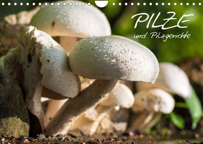 Pilze und Pilzgerichte (Wandkalender 2022 DIN A4 quer) von Stanzer,  Elisabeth