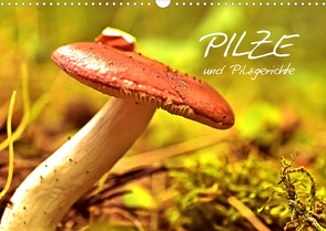 Pilze und Pilzgerichte (Wandkalender 2023 DIN A3 quer) von Stanzer,  Elisabeth