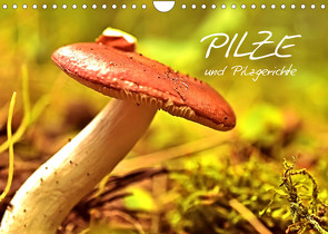 Pilze und Pilzgerichte (Wandkalender 2023 DIN A4 quer) von Stanzer,  Elisabeth