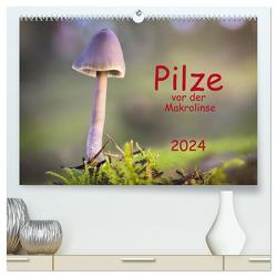 Pilze vor der Makrolinse 2024 (hochwertiger Premium Wandkalender 2024 DIN A2 quer), Kunstdruck in Hochglanz von Pompsch,  Heinz