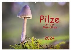 Pilze vor der Makrolinse 2024 (Wandkalender 2024 DIN A2 quer), CALVENDO Monatskalender von Pompsch,  Heinz