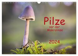Pilze vor der Makrolinse 2024 (Wandkalender 2024 DIN A3 quer), CALVENDO Monatskalender von Pompsch,  Heinz