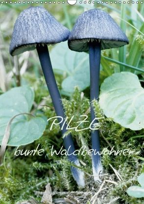 Pilze (Wandkalender 2018 DIN A3 hoch) von N.,  N.