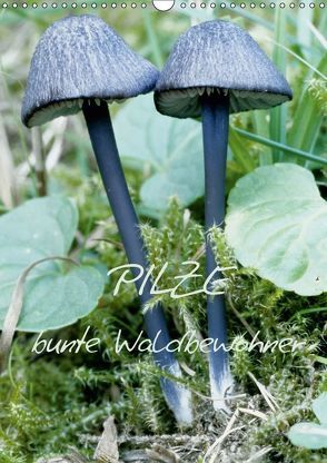 Pilze (Wandkalender 2019 DIN A3 hoch) von N.,  N.