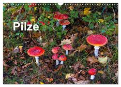 Pilze (Wandkalender 2024 DIN A3 quer), CALVENDO Monatskalender von / Bäsemann / Diehl / Helwig / Pum / Schulz,  McPHOTO