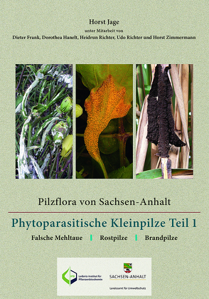 Pilzflora von Sachsen-Anhalt – Phytoparasitische Kleinpilze von Frank,  Dieter, Hanelt,  Dorothea, Jage,  Horst, Richter,  Heidrun, Richter,  Udo, Zimmermann,  Horst