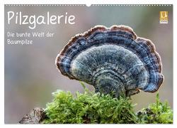 Pilzgalerie – Die bunte Welt der Baumpilze (Wandkalender 2024 DIN A2 quer), CALVENDO Monatskalender von Wurster,  Beate