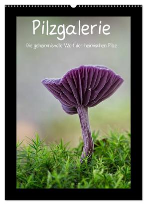 Pilzgalerie – Die geheimnisvolle Welt der heimischen Pilze (Wandkalender 2024 DIN A2 hoch), CALVENDO Monatskalender von Wurster,  Beate