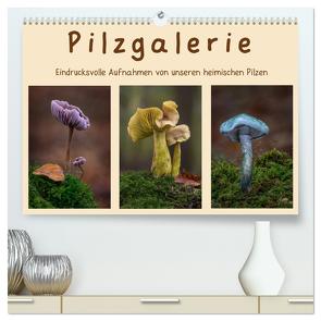 Pilzgalerie – Eindrucksvolle Aufnahmen von unseren heimischen Pilzen (hochwertiger Premium Wandkalender 2024 DIN A2 quer), Kunstdruck in Hochglanz von Wurster,  Beate