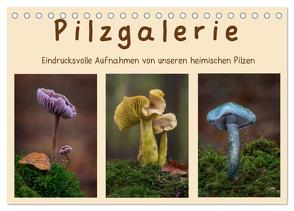Pilzgalerie – Eindrucksvolle Aufnahmen von unseren heimischen Pilzen (Tischkalender 2024 DIN A5 quer), CALVENDO Monatskalender von Wurster,  Beate