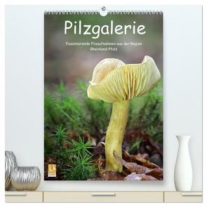 Pilzgalerie – Faszinierende Pilzaufnahmen aus der Region Rheinland-Pfalz (hochwertiger Premium Wandkalender 2024 DIN A2 hoch), Kunstdruck in Hochglanz von Wurster,  Beate