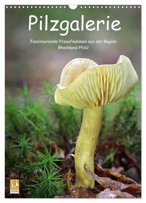 Pilzgalerie – Faszinierende Pilzaufnahmen aus der Region Rheinland-Pfalz (Wandkalender 2024 DIN A3 hoch), CALVENDO Monatskalender von Wurster,  Beate