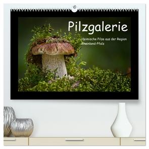 Pilzgalerie – Heimische Pilze aus der Region Rheinland-Pfalz (hochwertiger Premium Wandkalender 2024 DIN A2 quer), Kunstdruck in Hochglanz von Wurster,  Beate