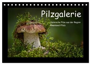 Pilzgalerie – Heimische Pilze aus der Region Rheinland-Pfalz (Tischkalender 2024 DIN A5 quer), CALVENDO Monatskalender von Wurster,  Beate