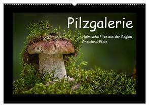 Pilzgalerie – Heimische Pilze aus der Region Rheinland-Pfalz (Wandkalender 2024 DIN A2 quer), CALVENDO Monatskalender von Wurster,  Beate