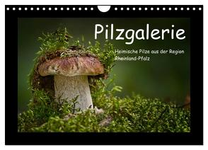 Pilzgalerie – Heimische Pilze aus der Region Rheinland-Pfalz (Wandkalender 2024 DIN A4 quer), CALVENDO Monatskalender von Wurster,  Beate