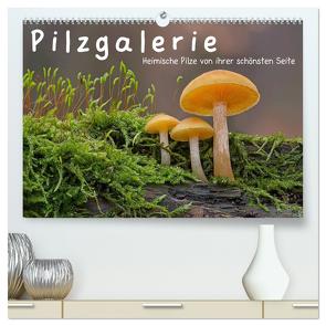Pilzgalerie – Heimische Pilze von ihrer schönsten Seite (hochwertiger Premium Wandkalender 2024 DIN A2 quer), Kunstdruck in Hochglanz von Wurster,  Beate