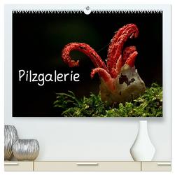 Pilzgalerie (hochwertiger Premium Wandkalender 2024 DIN A2 quer), Kunstdruck in Hochglanz von Wurster,  Beate