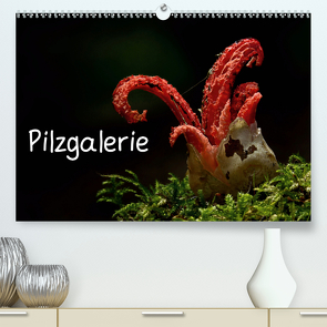 Pilzgalerie (Premium, hochwertiger DIN A2 Wandkalender 2021, Kunstdruck in Hochglanz) von Wurster,  Beate