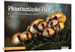 Pilzkalender 2023, Phantastische Pilze! Die schönsten Pilzmotive und Aufnahmen 2023 – Hochwertiger Wandkalender DIN A3 quer von Mett,  Alexander