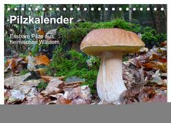 Pilzkalender (Tischkalender 2024 DIN A5 quer), CALVENDO Monatskalender von Bindig,  Rudolf