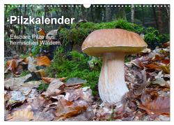 Pilzkalender (Wandkalender 2024 DIN A3 quer), CALVENDO Monatskalender von Bindig,  Rudolf
