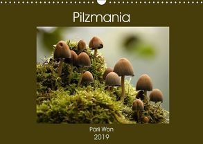 Pilzmania (Wandkalender 2019 DIN A3 quer) von Won,  Pörli