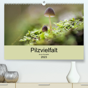 Pilzvielfalt (Premium, hochwertiger DIN A2 Wandkalender 2023, Kunstdruck in Hochglanz) von Reim,  Katharina