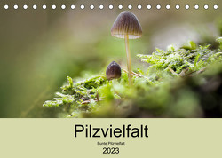 Pilzvielfalt (Tischkalender 2023 DIN A5 quer) von Reim,  Katharina