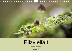 Pilzvielfalt (Wandkalender 2023 DIN A4 quer) von Reim,  Katharina