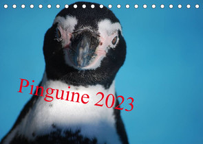 Pinguine 2023 (Tischkalender 2023 DIN A5 quer) von Groos,  Ilka