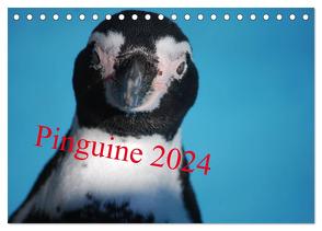 Pinguine 2024 (Tischkalender 2024 DIN A5 quer), CALVENDO Monatskalender von Groos,  Ilka