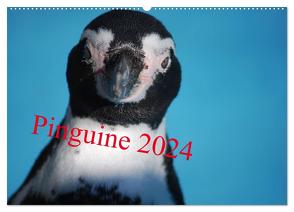 Pinguine 2024 (Wandkalender 2024 DIN A2 quer), CALVENDO Monatskalender von Groos,  Ilka