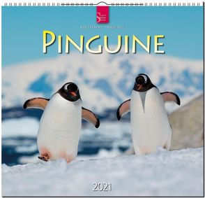 Pinguine von Chichester,  Page, Leue,  Holger