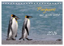 Pinguine aus aller Welt (Tischkalender 2024 DIN A5 quer), CALVENDO Monatskalender von Schlögl,  Brigitte
