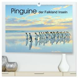 Pinguine der Falkland Inseln (hochwertiger Premium Wandkalender 2024 DIN A2 quer), Kunstdruck in Hochglanz von Weiß,  Elmar
