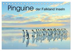 Pinguine der Falkland Inseln (Tischkalender 2024 DIN A5 quer), CALVENDO Monatskalender von Weiß,  Elmar