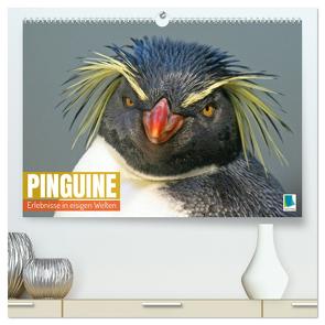 Pinguine: Erlebnisse in eisigen Welten (hochwertiger Premium Wandkalender 2024 DIN A2 quer), Kunstdruck in Hochglanz von CALVENDO,  CALVENDO
