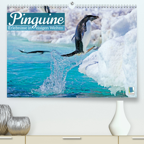 Pinguine: Erlebnisse in eisigen Welten (Premium, hochwertiger DIN A2 Wandkalender 2023, Kunstdruck in Hochglanz) von CALVENDO