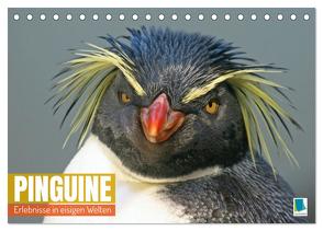 Pinguine: Erlebnisse in eisigen Welten (Tischkalender 2024 DIN A5 quer), CALVENDO Monatskalender von CALVENDO,  CALVENDO