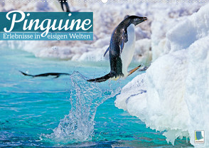 Pinguine: Erlebnisse in eisigen Welten (Wandkalender 2023 DIN A2 quer) von CALVENDO