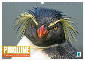 Pinguine: Erlebnisse in eisigen Welten (Wandkalender 2024 DIN A3 quer), CALVENDO Monatskalender von CALVENDO,  CALVENDO