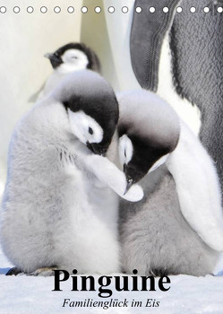 Pinguine. Familienglück im Eis (Tischkalender 2023 DIN A5 hoch) von Stanzer,  Elisabeth